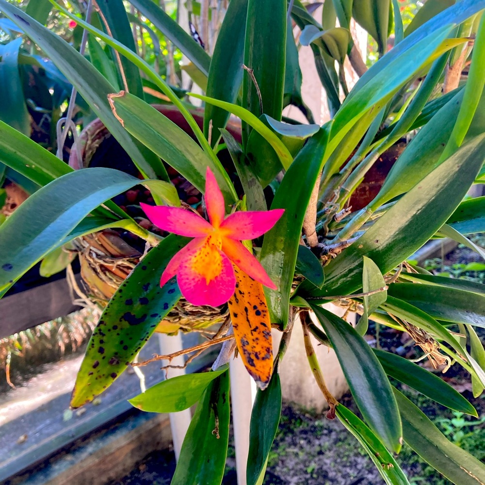 Meet your Posher, Yunjoo